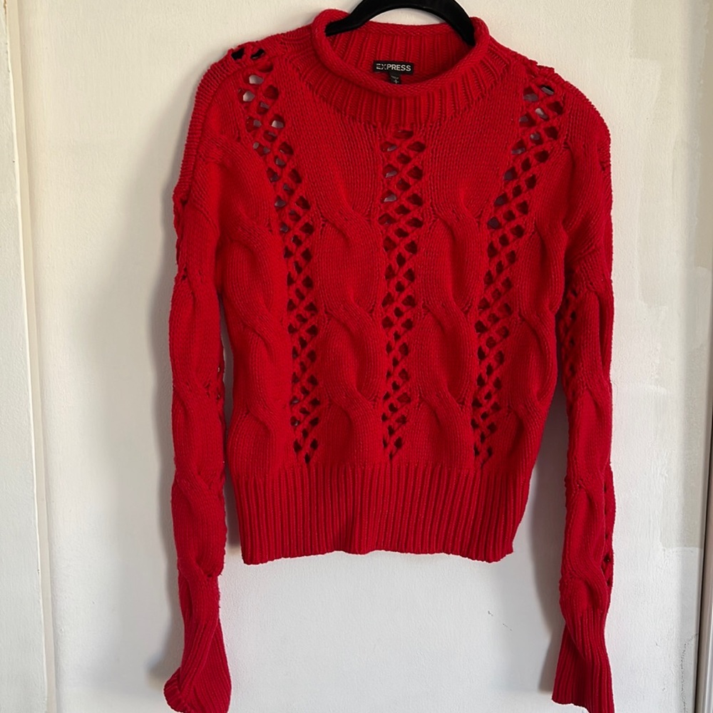 NWOT Express knit turtleneck sweater